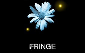 Fringe, flower, water drops, dragonfly wing, creative HD wallpaper