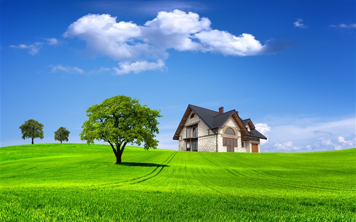 Summer, house, trees, field, green grass Wallpapers Pictures Photos Images