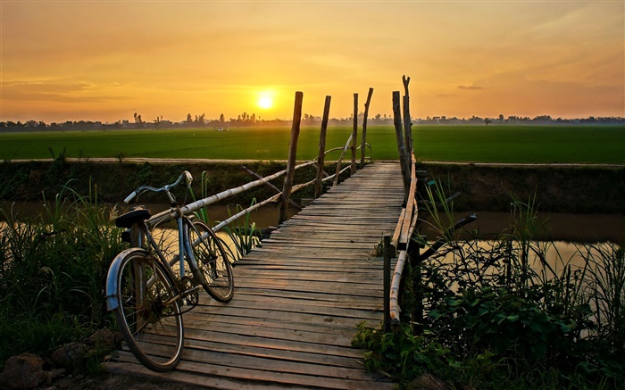 Sunset, bicycle, bridge, grass, field, river Wallpapers Pictures Photos Images