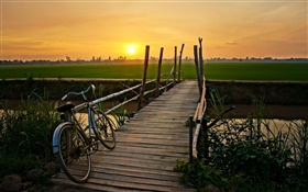 Sunset, bicycle, bridge, grass, field, river HD wallpaper