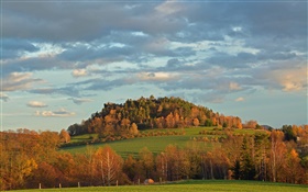Trees, field, autumn, slope
