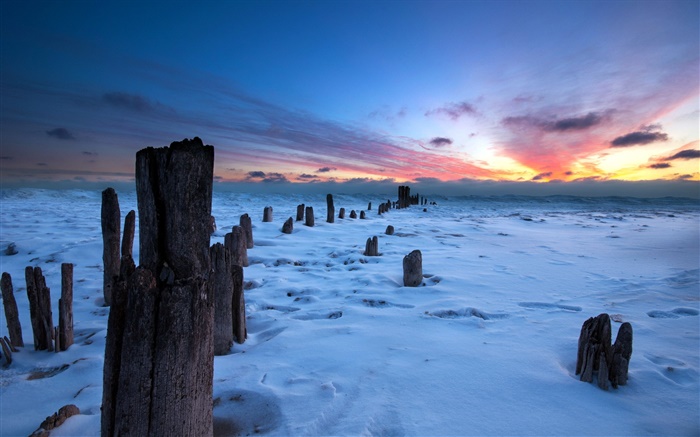 Winter, sunset, snow, stump Wallpapers Pictures Photos Images