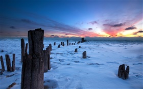 Winter, sunset, snow, stump