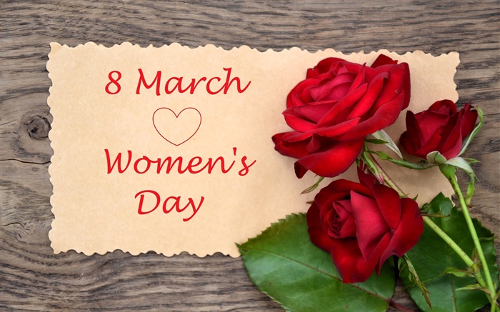 8 March, Women's Day, red rose flowers Wallpapers Pictures Photos Images