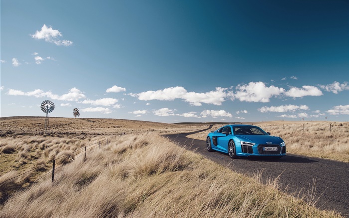 Audi R8 V10 blue car, nature, grass, road Wallpapers Pictures Photos Images