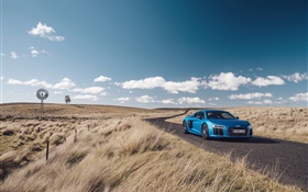 Audi R8 V10 blue car, nature, grass, road HD wallpaper