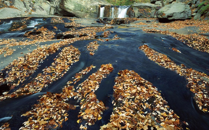 Autumn, many leaves, waterfall, creek, rocks Wallpapers Pictures Photos Images