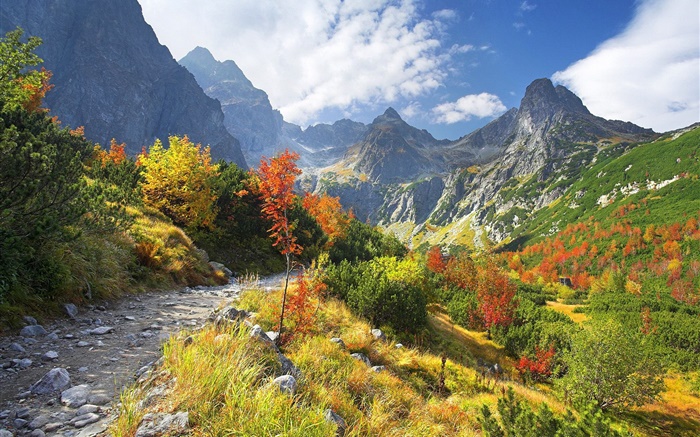 Autumn nature, mountains, yellow grass, trees, clouds Wallpapers Pictures Photos Images