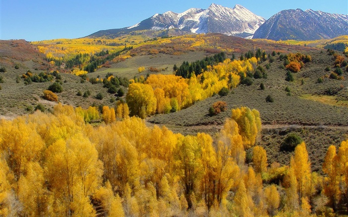 Autumn, trees, mountains Wallpapers Pictures Photos Images