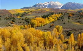 Autumn, trees, mountains HD wallpaper
