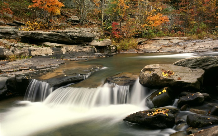 Autumn, trees, red leaves, rocks, creek Wallpapers Pictures Photos Images