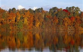 Autumn, trees, river