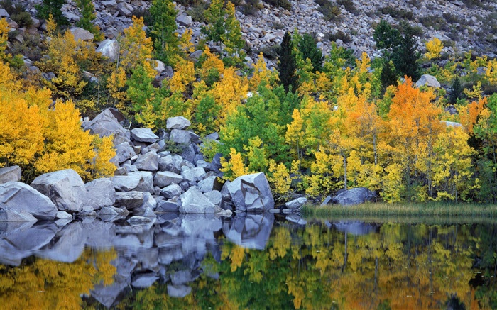 Autumn, trees, rocks, lake, water reflection Wallpapers Pictures Photos Images