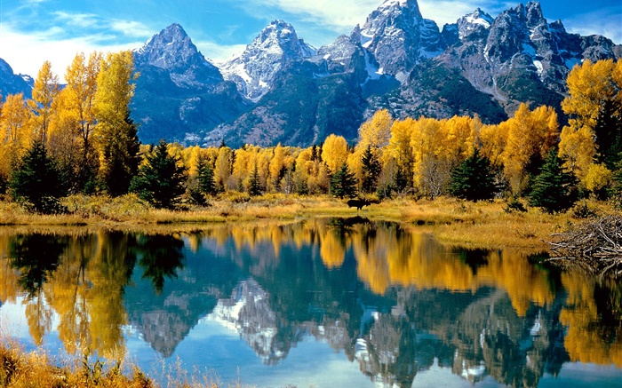 Autumn, trees, yellow, lake, mountain Wallpapers Pictures Photos Images