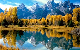 Autumn, trees, yellow, lake, mountain HD wallpaper