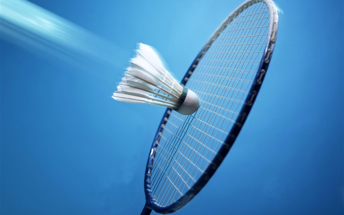 Badminton and racket, blue background Wallpapers Pictures Photos Images