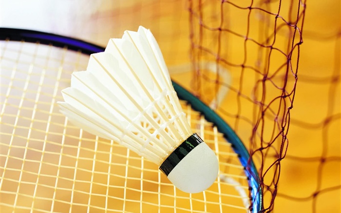 Badminton and racket Wallpapers Pictures Photos Images