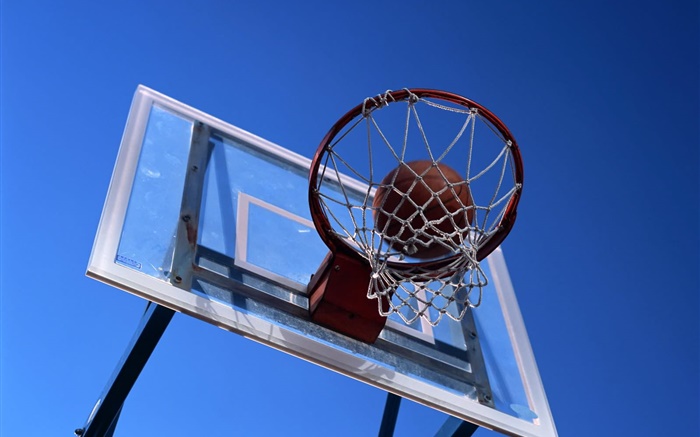 Basketball hoop and basketball Wallpapers Pictures Photos Images