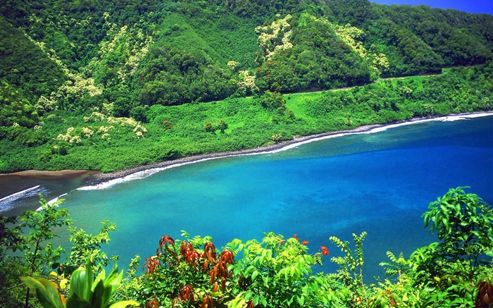 Bay, sea, mountains, green plants, Hawaii, USA Wallpapers Pictures Photos Images