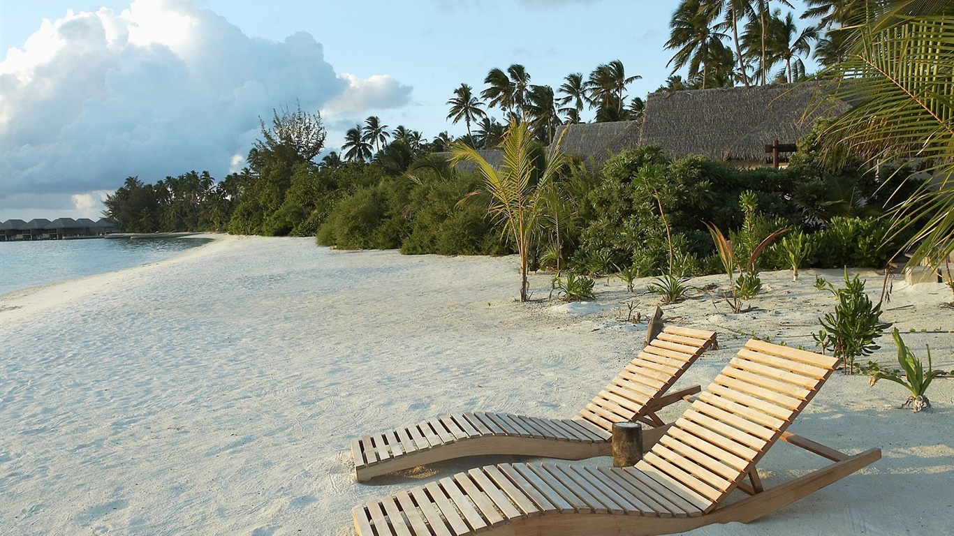 Beach, chair, palm trees, tropical 1366x768 wallpaper