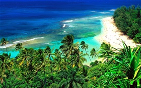 Beach, people, travel, blue sea, Hawaii, USA HD wallpaper
