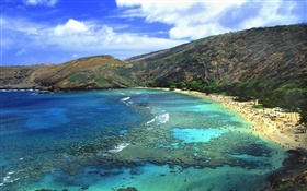 Beach, sea, people, Hawaii, USA HD wallpaper