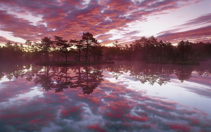 Beautiful dusk, trees, lake, water reflection, red clouds Wallpapers Pictures Photos Images