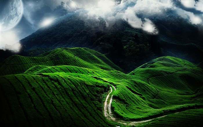 Beautiful landscape, green hill, road, clouds Wallpapers Pictures Photos Images