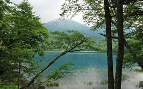 Beautiful nature, lake, trees, mountains, Hokkaido, Japan