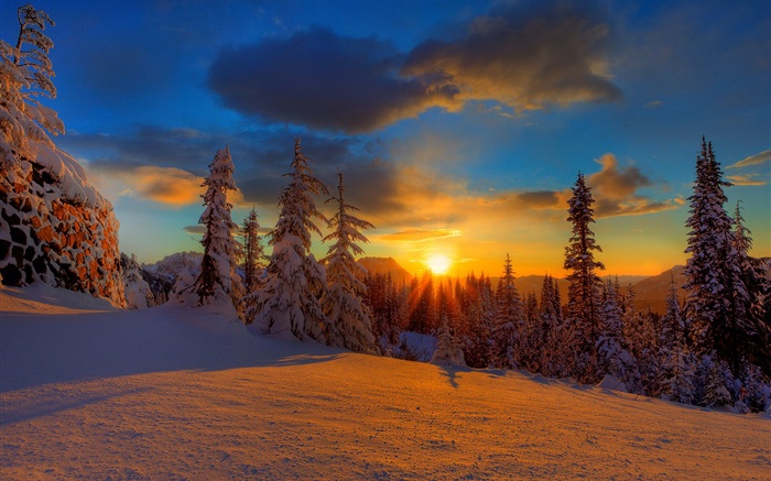 Beautiful sunset, winter, snow, trees, dusk Wallpapers Pictures Photos Images