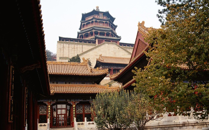 Beijing Forbidden City, China Wallpapers Pictures Photos Images