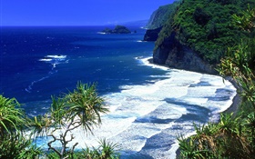 Blue sea, coast, mountains, Hawaii, USA HD wallpaper