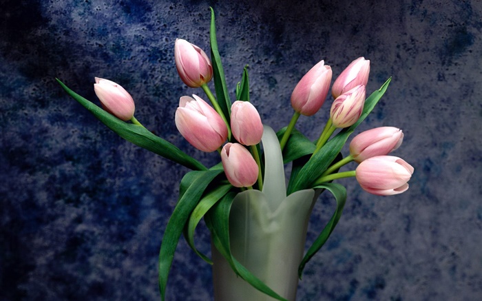 Bouquet, pink tulip flowers Wallpapers Pictures Photos Images