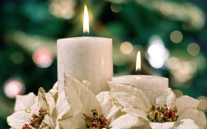 Christmas theme, white candles Wallpapers Pictures Photos Images