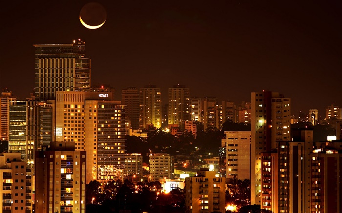 City night, houses, lights, moon Wallpapers Pictures Photos Images