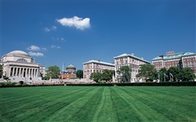 City view, lawn, buildings, New York, USA