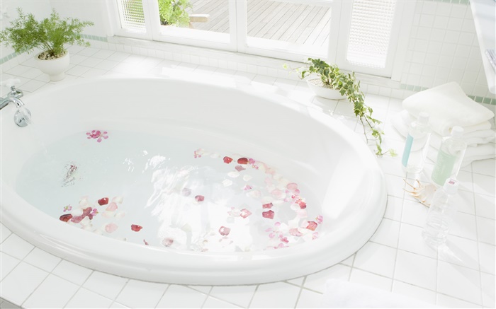 Closeup bathtub, water, petal Wallpapers Pictures Photos Images