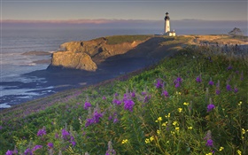 Coast, lighthouse, morning HD wallpaper