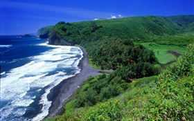Coast, sea, beach, Hawaii, USA HD wallpaper