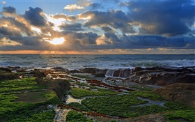 Coast, stones, sunset, clouds, Pacific ocean HD wallpaper