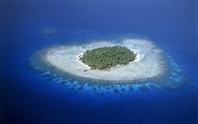 Coral Reefs, Micronesia, sea, island