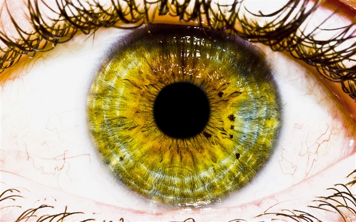 Creative pictures, yellow eye, pupil Wallpapers Pictures Photos Images