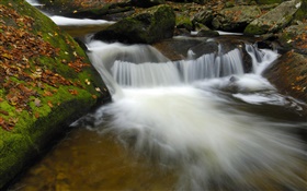 Creek, stream, rocks, autumn
