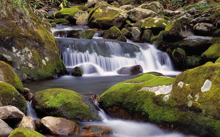 Creek, waterfalls, stones, moss, nature scenery Wallpapers Pictures Photos Images