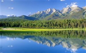 Dog Lake, mountains, forest, Kootenay National Park, British Columbia, Canada HD wallpaper
