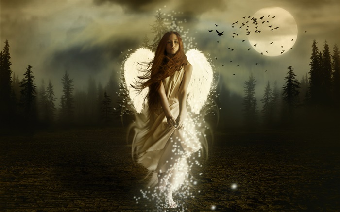 Fantasy angel girl, white wings, night, moon, birds Wallpapers Pictures Photos Images