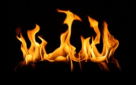 Fire flame close-up, black background HD wallpaper