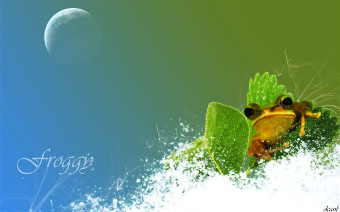 Frog, snow, green leaf, creative pictures Wallpapers Pictures Photos Images