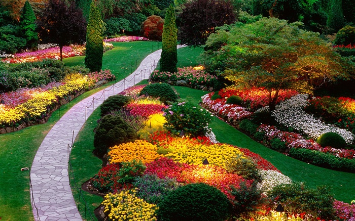 Garden flowers, colorful, spring Wallpapers Pictures Photos Images