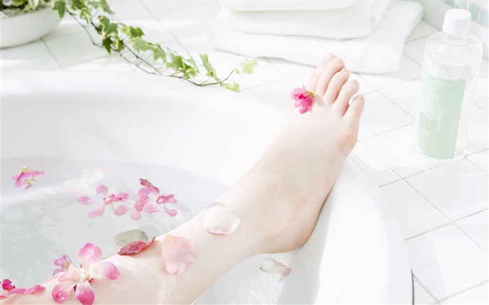 Girl leg, petals, bathtub, SPA theme Wallpapers Pictures Photos Images